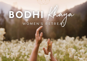 3 - 6 November 2022: Bodhi Khaya Womenâ€™s Retreat