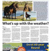 19 August 2022 - The Village News - Xplorioâ„¢ Hermanus