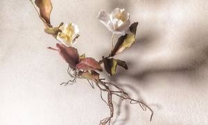 Artist Becky Jones at the Greyton Rose and Garden Fair