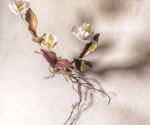 Artist Becky Jones at the Greyton Rose and Garden Fair