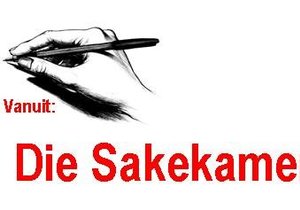 Sakekamer verskuif grense