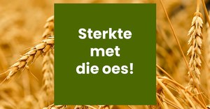 â€˜n Boodskap van ons Besturende Direkteur