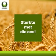 â€˜n Boodskap van ons Besturende Direkteur