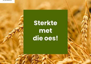 â€˜n Boodskap van ons Besturende Direkteur