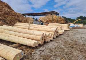 Wooden Products for Building and DIY Home Projects