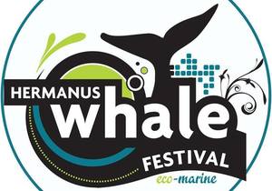 Have a Whale of a Time in Hermanus