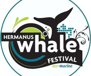 Have a Whale of a Time in Hermanus