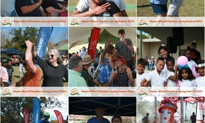 Napier Wine and Patatfees Spring Festival