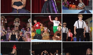 Tergende geheim van â€˜Elsa on the Runâ€™ is opgelos