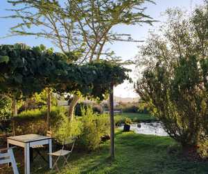 Foxy House:Â A Nature Loverâ€™s Dream