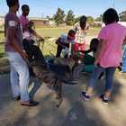 Dog Washing - RSE Animal Welfare Society - Xplorioâ„¢ Riviersonderend