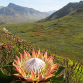 Beautiful Views - Hangklip - Kleinmond Tourism - Xplorioâ„¢ Kleinmond