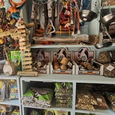 Bird Toys - Keiko Pet Shop - Xplorioâ„¢ Kleinmond