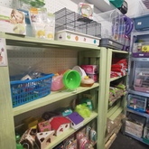 Accessories - Keiko Pet Shop - Xplorioâ„¢ Kleinmond