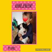 LoraÂ Adopted: Thank YouÂ Wilmien Hardean