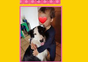 LoraÂ Adopted: Thank YouÂ Wilmien Hardean