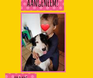 LoraÂ Adopted: Thank YouÂ Wilmien Hardean