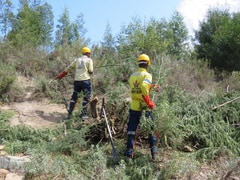 Firebreak Construction in Caledon