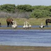 Hangklip - Kleinmond Tourism - Xplorioâ„¢ Kleinmond