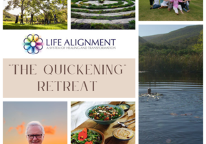 Life Alignment Retreat with Jeff Levin