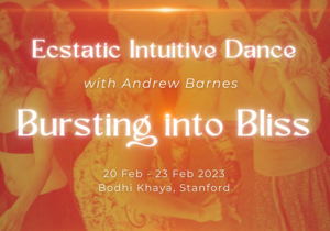 Ecstatic Intuitive Dance: 3-Day Retreat with Andrew Barnes