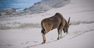 High School Student Captures The Beauty of De Hoop
