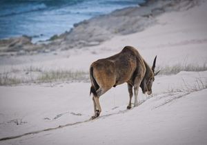 High School Student Captures The Beauty of De Hoop