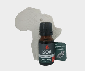 Rosemary Essential Oil (R69)