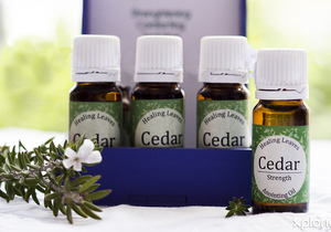 22 OctoberÂ 2022: Anointing Oil Workshop / Salwingsolie-Werkswinkel