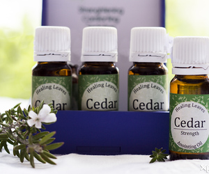 22 OctoberÂ 2022: Anointing Oil Workshop / Salwingsolie-Werkswinkel