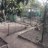 Garden - Manie's Garden Services - Xplorioâ„¢ Caledon