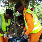 Cleaninig - Manie's Garden Services - Xplorioâ„¢ Caledon