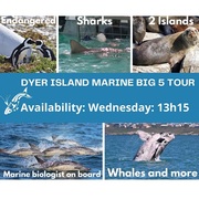 Next Dyer Island Marine Big 5 Tour:Â 19 October 2022