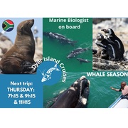 Next Dyer Island Marine Big 5 Tour:Â 20 October 2022