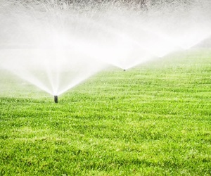 Home Irrigation System