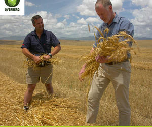 WÃªreld Kos Dag 2022!