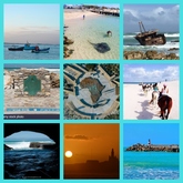 Things to do and see - Petite - Xplorioâ„¢ Agulhas/Struisbaai