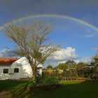 Rainbow - Klein Koraalboom - Xplorioâ„¢ Botriver