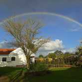 Rainbow - Klein Koraalboom - Xplorioâ„¢ Botriver