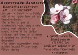 BioBlitz in Baardskeerdersbos