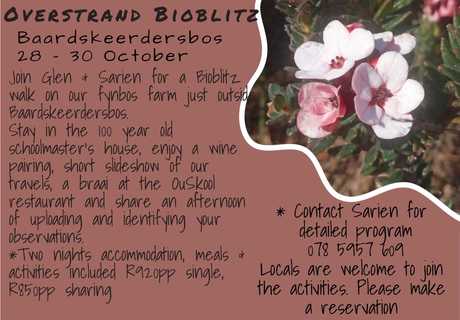 BioBlitz in Baardskeerdersbos