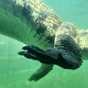 312894884_468556751921800_8141004342321542050_n_1666939066