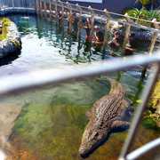 Year-End Team Building