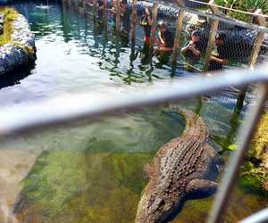 Year-End Team Building