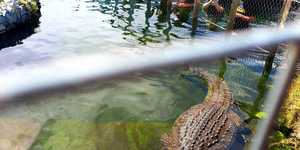 313174980_468556948588447_5640142184813238738_n_1666939068