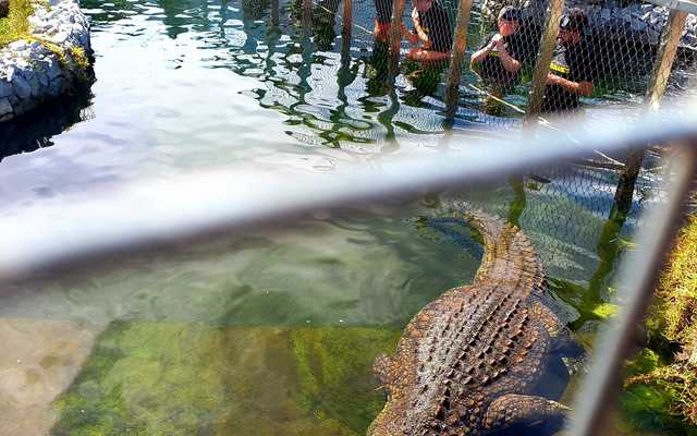 313174980_468556948588447_5640142184813238738_n_1666939068