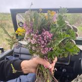 Fynbos Flowers - Schneiderâ€™s Cape Floral Kitchen - Xplorioâ„¢ Gansbaai 