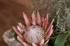 Whale_Gin_Spotter_image_9_1667227808