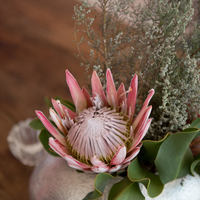 Whale & Gin Spotter - Xplorioâ„¢ Gansbaai 