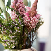 Whale & Gin Spotter - Xplorioâ„¢ Gansbaai 